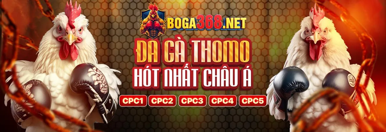 Tầm nhìn và sứ mệnh phát triển của 77win.com trong ngành cá cược trực tuyến